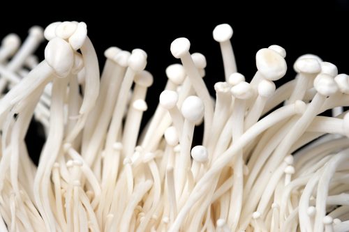 white-enoki-mushrooms