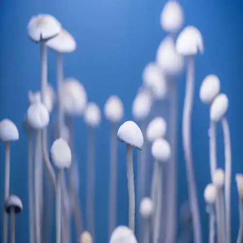 Wavy Cap Isolated Spores