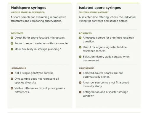Isolated vs. Multispore Syringes: Differences, Benefits, and Trade-Offs